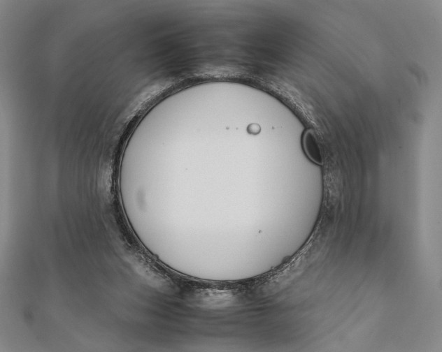 X0000112050159200908251006