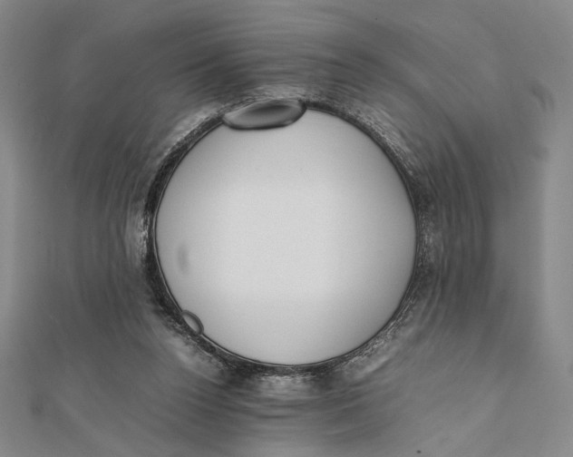 X0000112050160200908251006