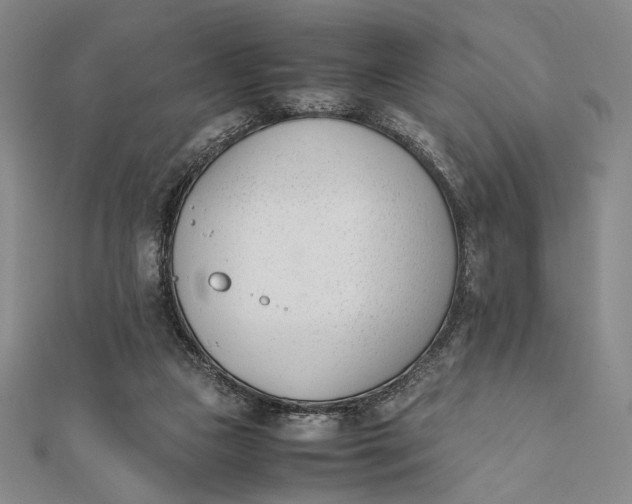 X0000112050161200908251006