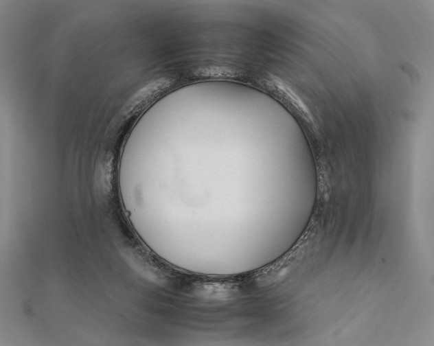 X0000112050163200908251006