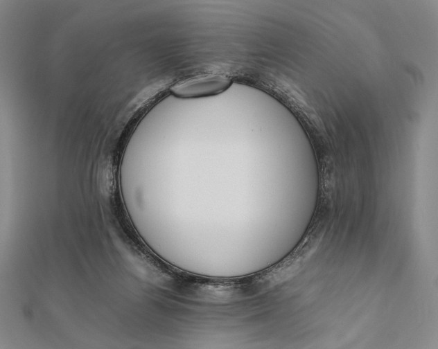 X0000112050164200908251006