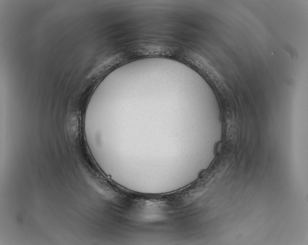 X0000112050165200908251006