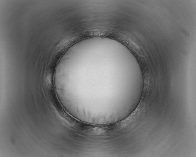 X0000112050166200908251006