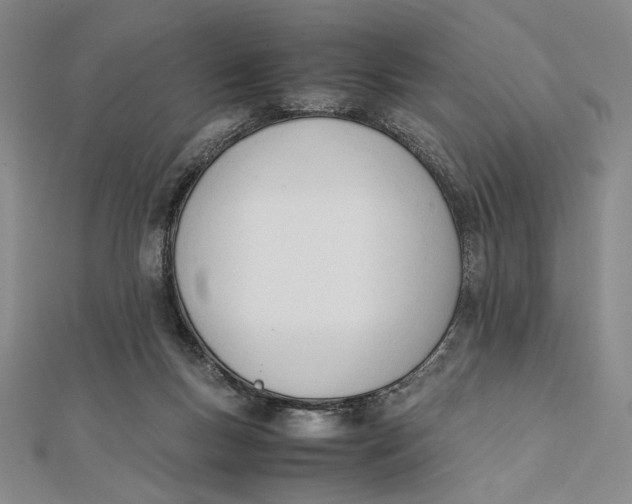 X0000112050167200908251006