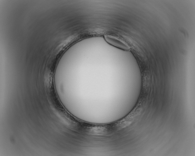 X0000112050168200908251006