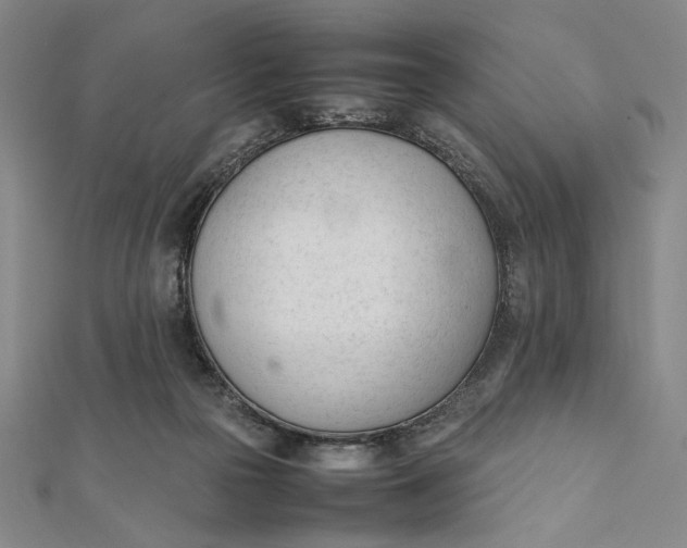 X0000112050169200908251006