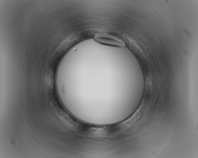 X0000112050170200908251006