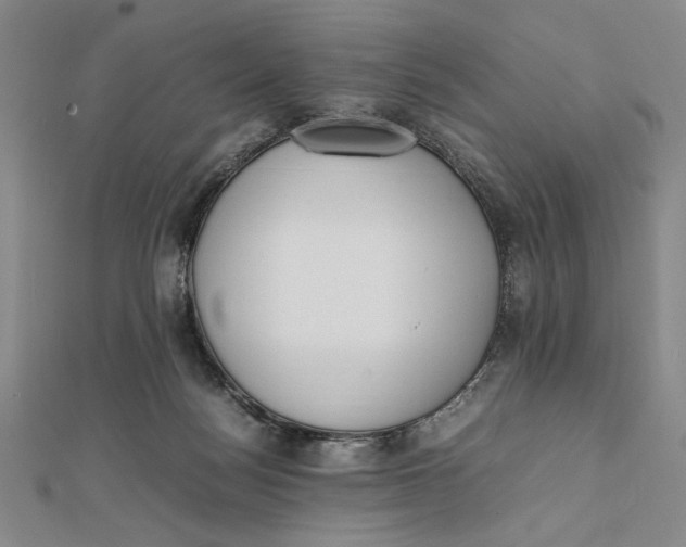 X0000112050172200908251006