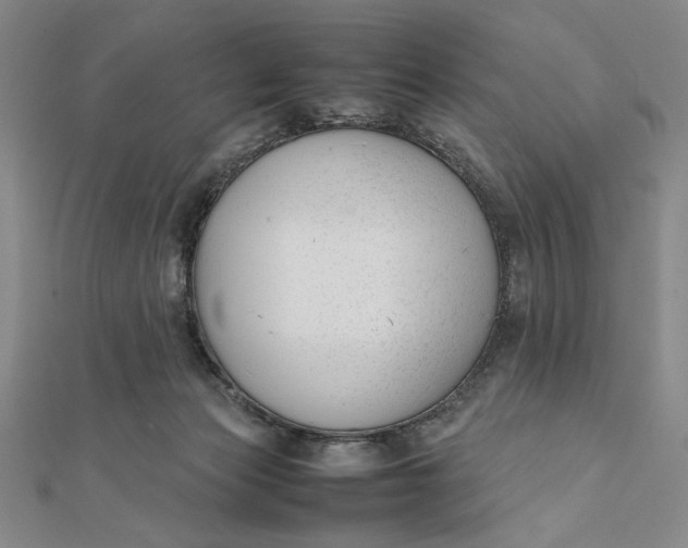 X0000112050173200908251006