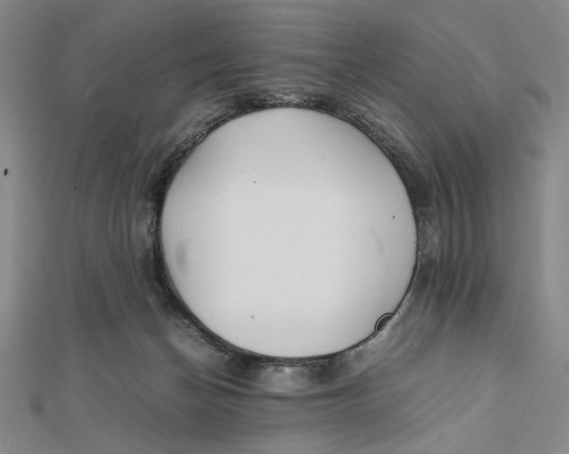 X0000112050174200908251006