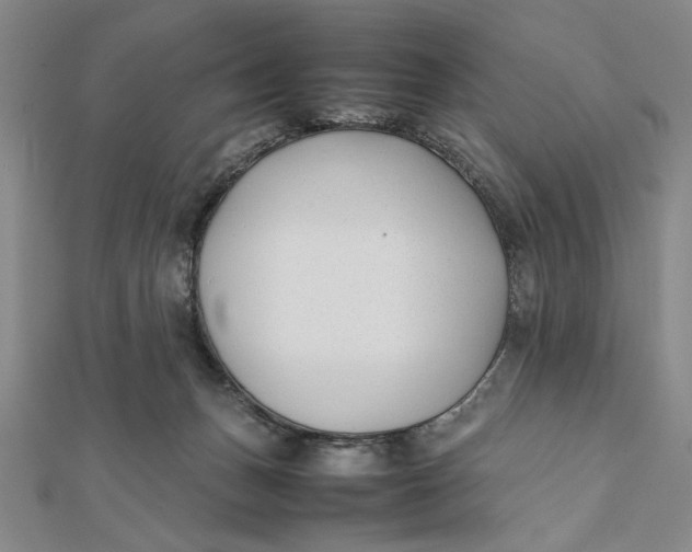 X0000112050175200908251006