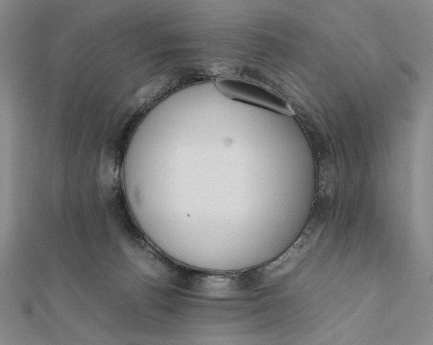 X0000112050176200908251006