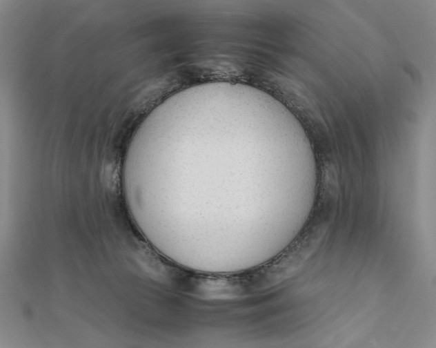 X0000112050177200908251006