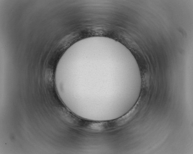 X0000112050178200908251006