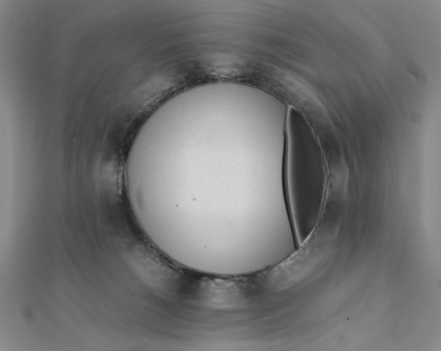 X0000112050180200908251006