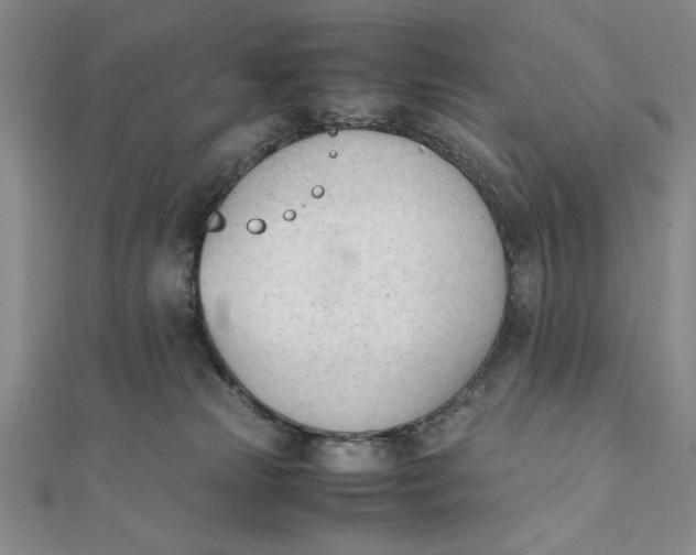 X0000112050181200908251006