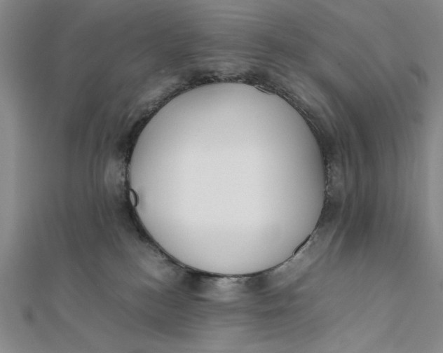 X0000112050184200908251006