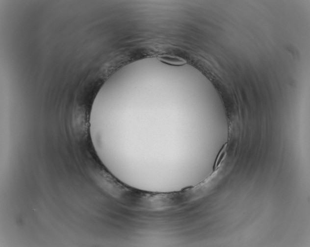 X0000112050186200908251006