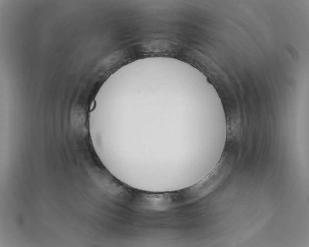 X0000112050187200908251006