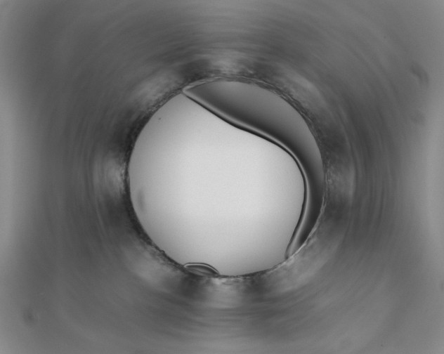 X0000112050188200908251006