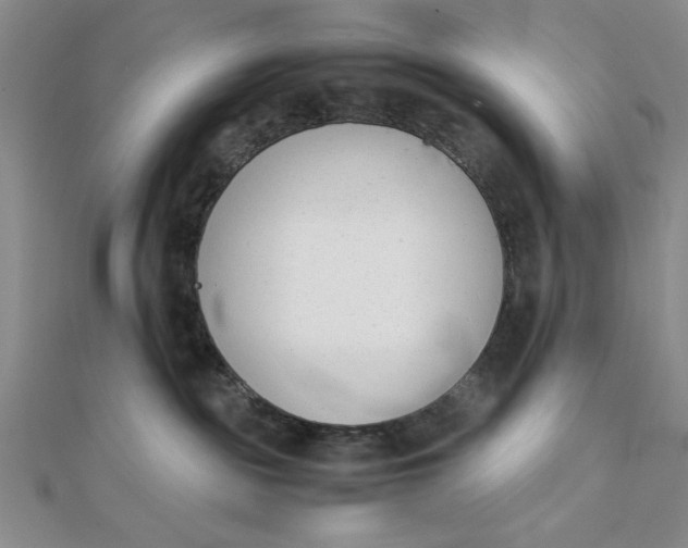 X0000112050189200908251006