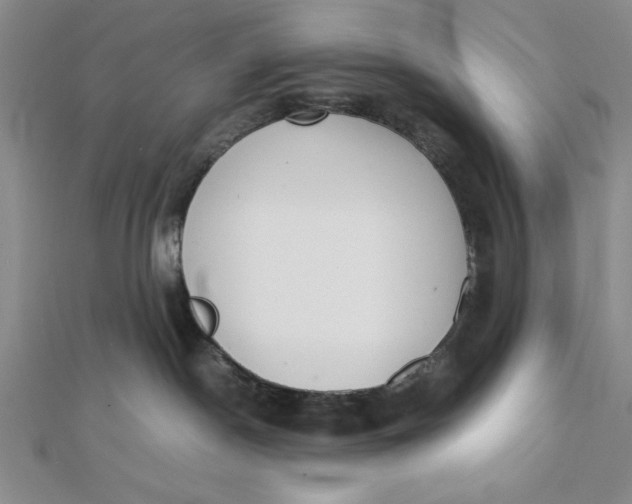 X0000112050190200908251006