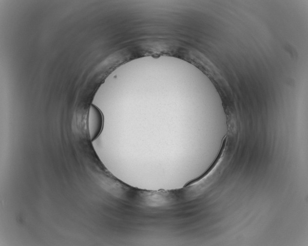 X0000112050191200908251006