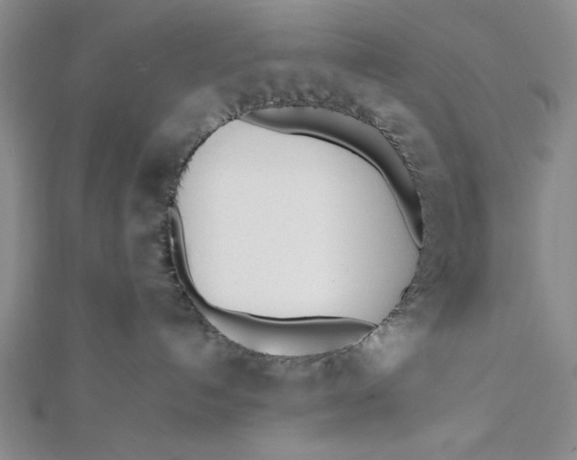 X0000112050192200908251006