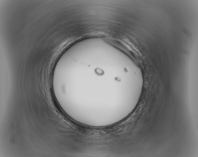 X0000112050193200908251006