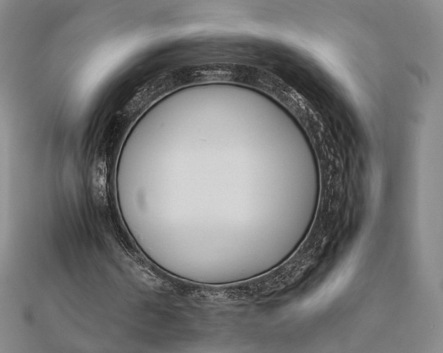 X0000112050194200908251006