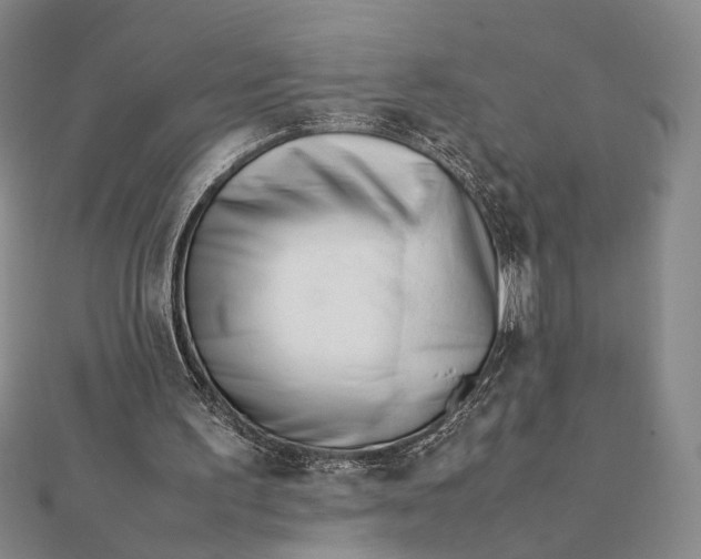 X0000112050195200908251006