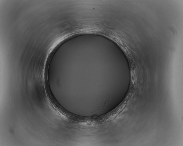 X0000112050196200908251006