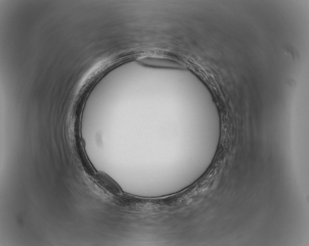 X0000112050197200908251006