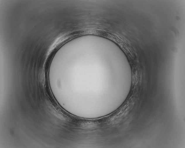 X0000112050198200908251006