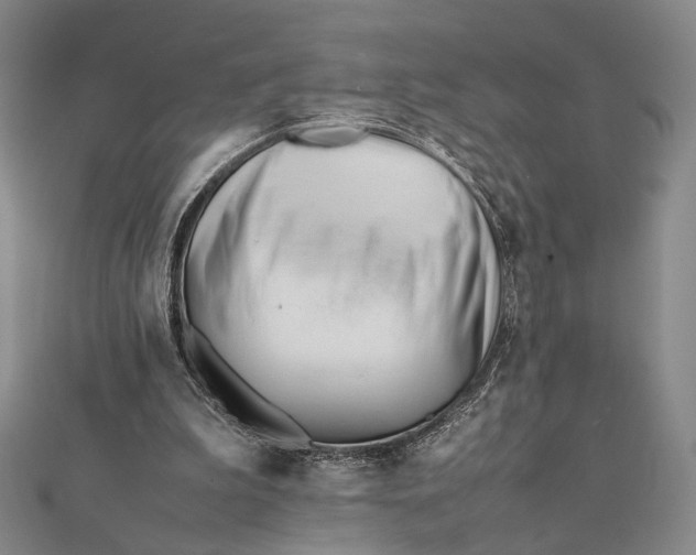 X0000112050199200908251006