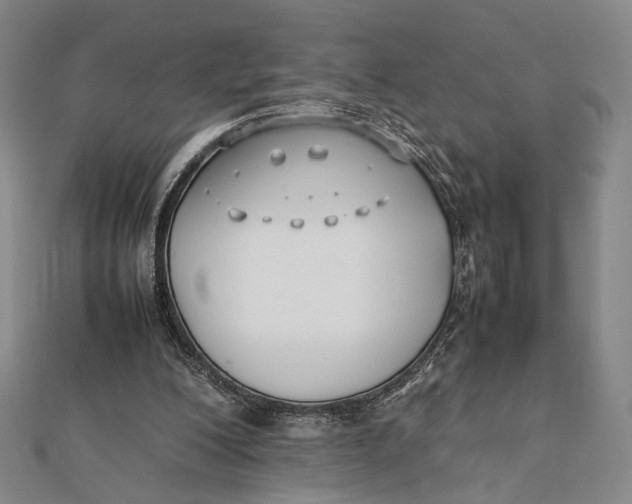 X0000112050200200908251006