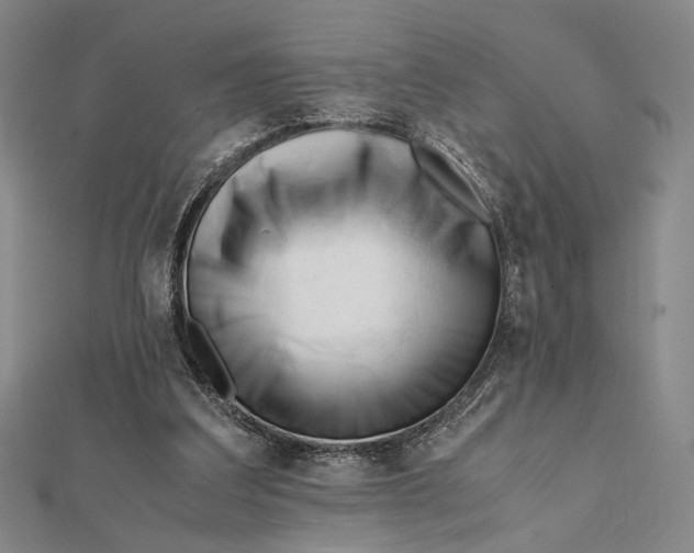 X0000112050203200908251006