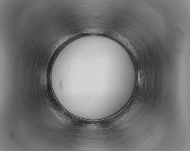 X0000112050204200908251006