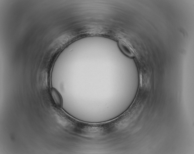 X0000112050205200908251006