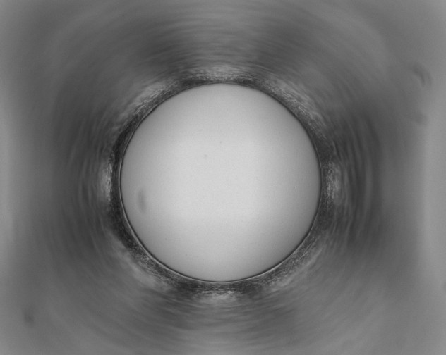 X0000112050206200908251006