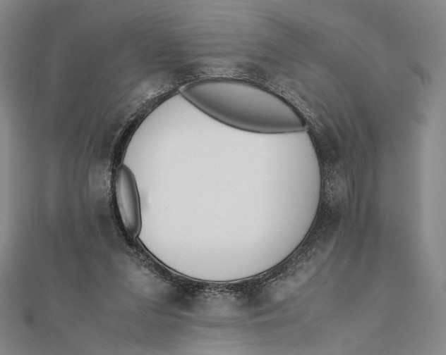 X0000112050207200908251006