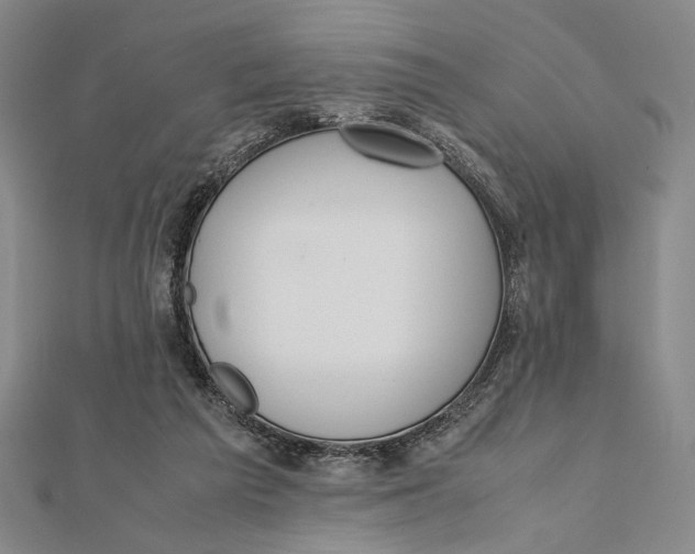 X0000112050209200908251006