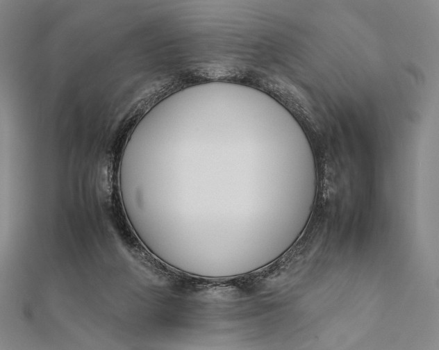 X0000112050210200908251006