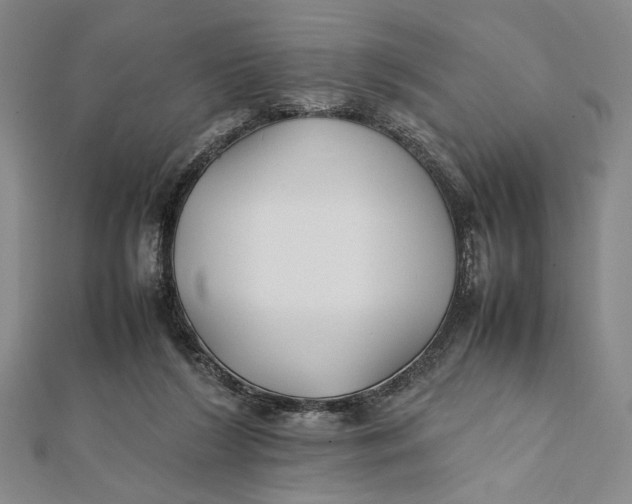 X0000112050212200908251005