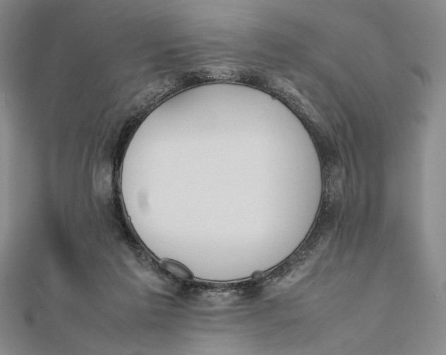 X0000112050213200908251005