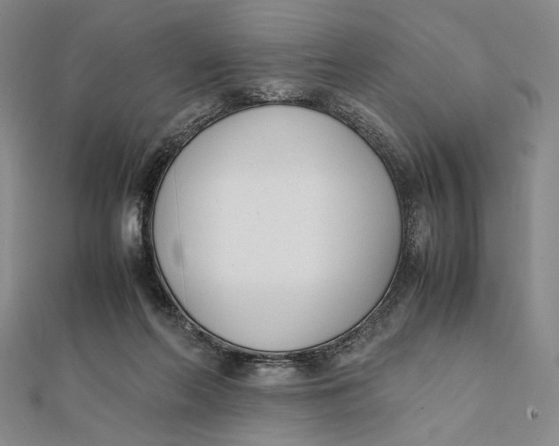 X0000112050214200908251005