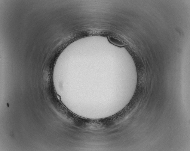 X0000112050215200908251005