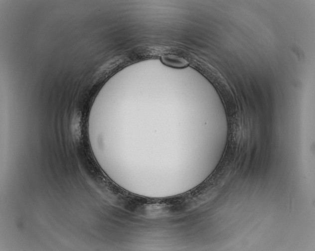 X0000112050216200908251005