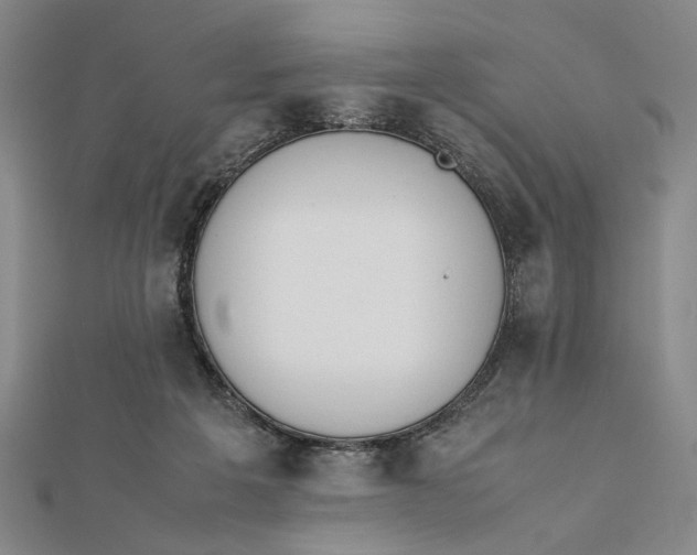 X0000112050217200908251005