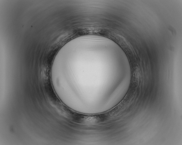 X0000112050218200908251005